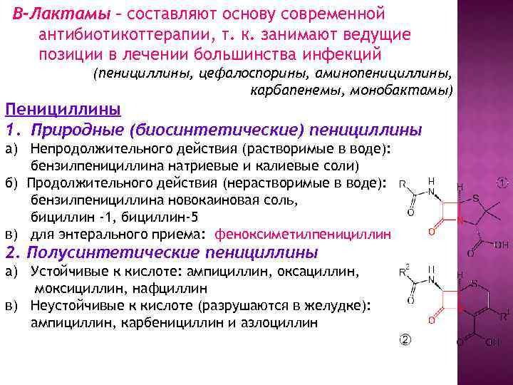 В-Лактамы – составляют основу современной антибиотикоттерапии, т. к. занимают ведущие позиции в лечении большинства