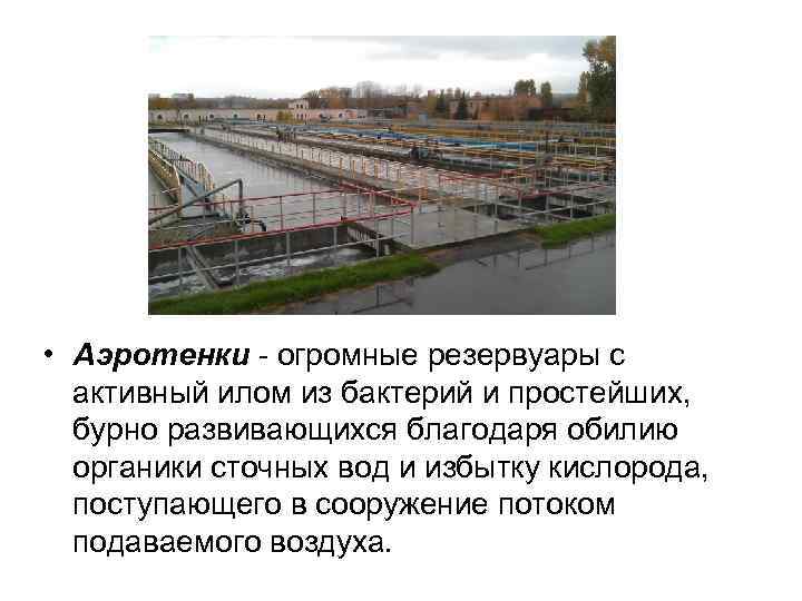 • Аэротенки - огромные резервуары с активный илом из бактерий и простейших, бурно