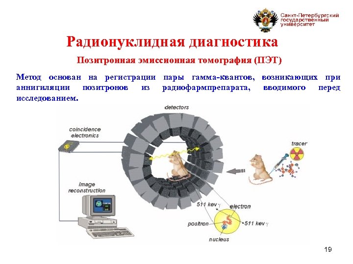 Радионуклидная диагностика Позитронная эмиссионная томография (ПЭТ) Метод основан на регистрации пары гамма-квантов, возникающих при