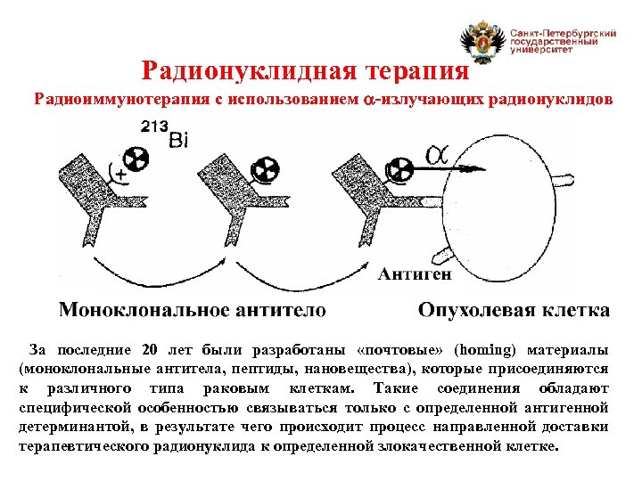 Радионуклидная терапия Радиоиммунотерапия с использованием -излучающих радионуклидов За последние 20 лет были разработаны «почтовые»