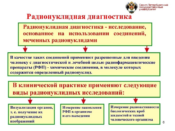 Радионуклидная диагностика 6 
