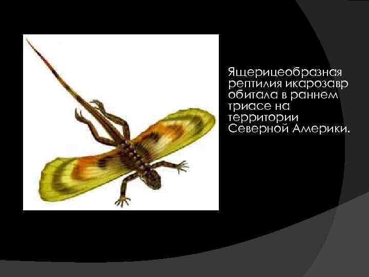  Ящерицеобразная рептилия икарозавр обитала в раннем триасе на территории Северной Америки. 
