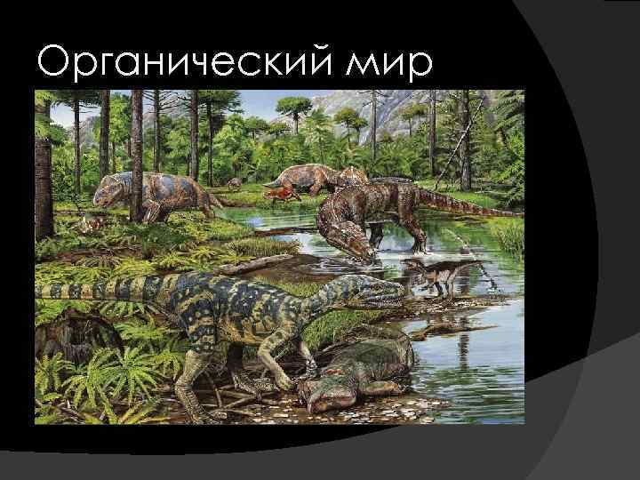 Органический мир 