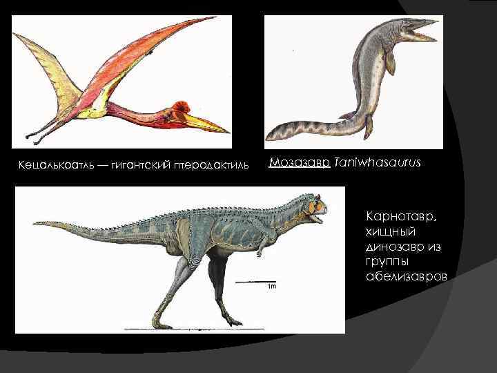 Кецалькоатль — гигантский птеродактиль Мозазавр Taniwhasaurus Карнотавр, хищный динозавр из группы абелизавров 