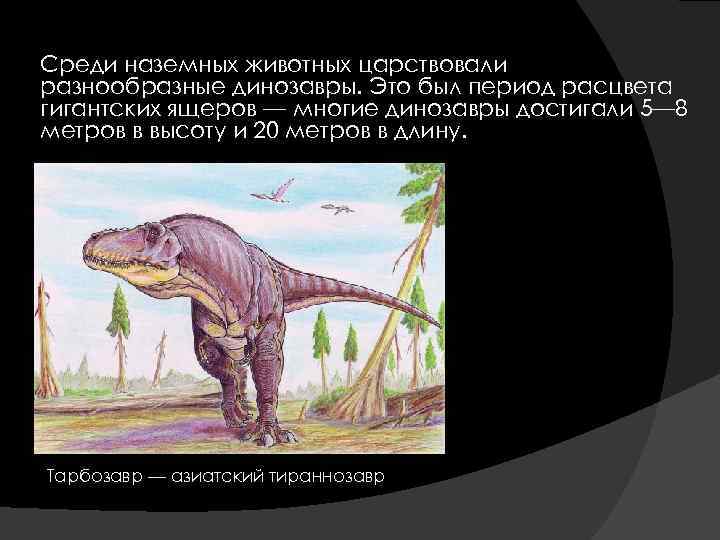 Среди сухопутных животных. Периоды расцвета динозавров меловой. Длина тела какого динозавра достигала 27 метров. Доклад по естествознанию 5 класс на тему Тираннозавр. Первое неземное животное это динозавр.