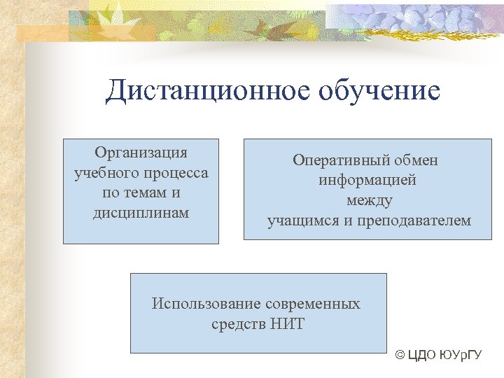 Дистанционное обучение Организация учебного процесса по темам и дисциплинам Оперативный обмен информацией между учащимся