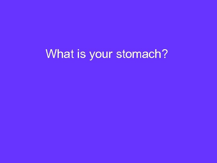 What is your stomach? 