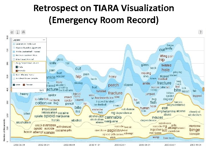 Retrospect on TIARA Visualization (Emergency Room Record) 19 