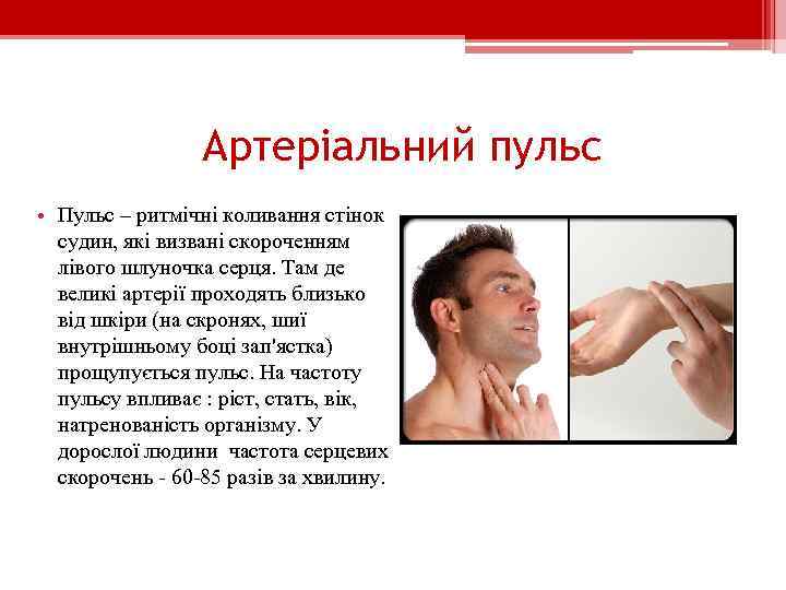 Артеріальний пульс • Пульс – ритмічні коливання стінок судин, які визвані скороченням лівого шлуночка
