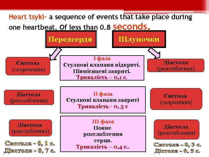 Heart tsykl- a sequence of events that take place during one heartbeat. Of less
