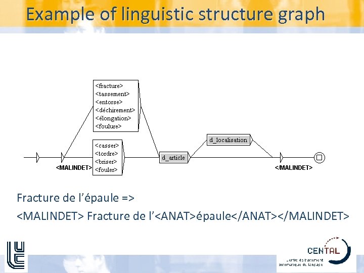 Example of linguistic structure graph Fracture de l’épaule => <MALINDET> Fracture de l’<ANAT>épaule</ANAT></MALINDET> 