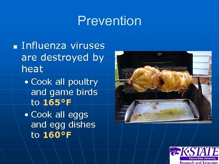 Prevention n Influenza viruses are destroyed by heat • Cook all poultry and game