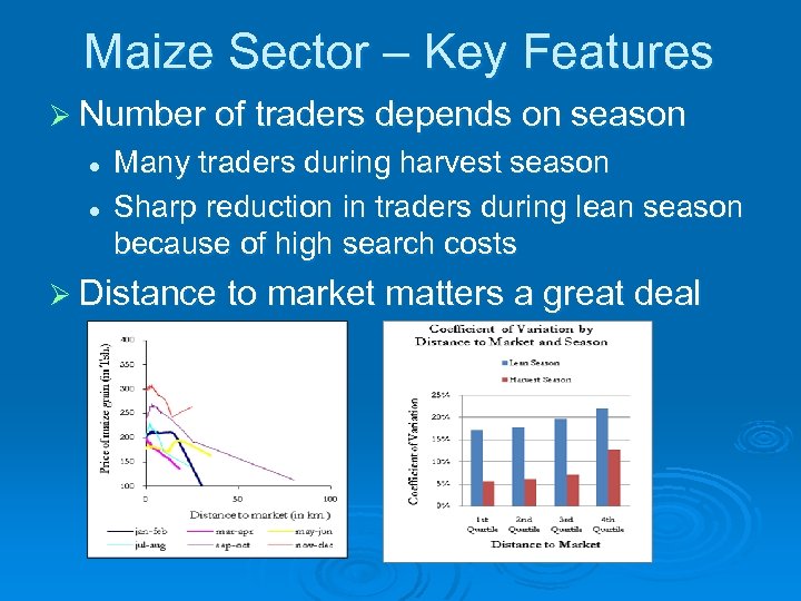 Maize Sector – Key Features Ø Number of traders depends on season l l