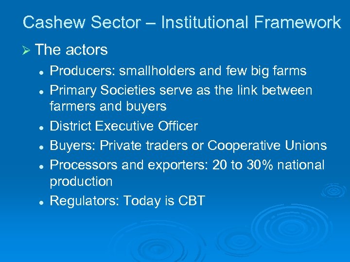 Cashew Sector – Institutional Framework Ø The actors l l l Producers: smallholders and