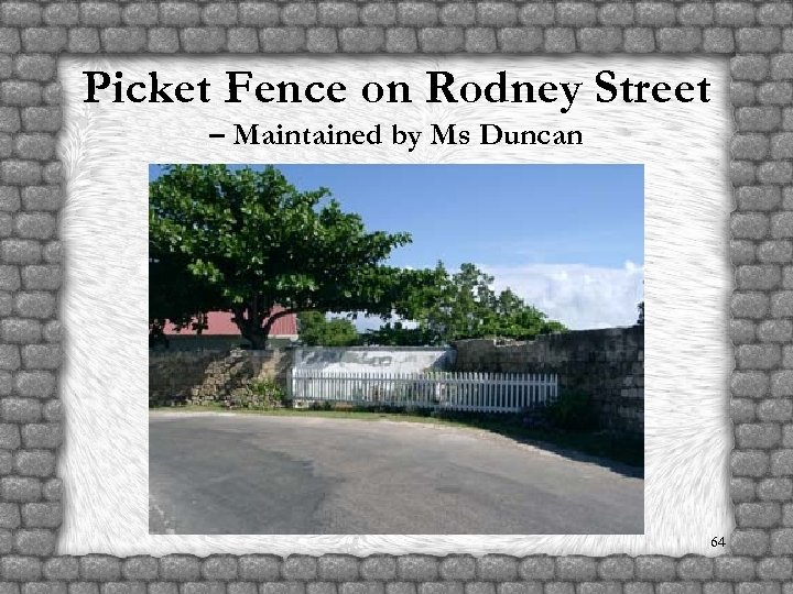 Picket Fence on Rodney Street – Maintained by Ms Duncan 64 