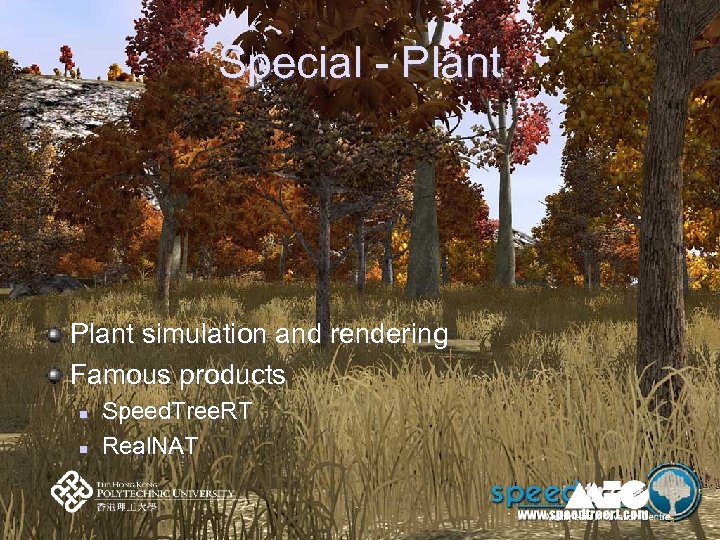 Special - Plant simulation and rendering Famous products n n Speed. Tree. RT Real.