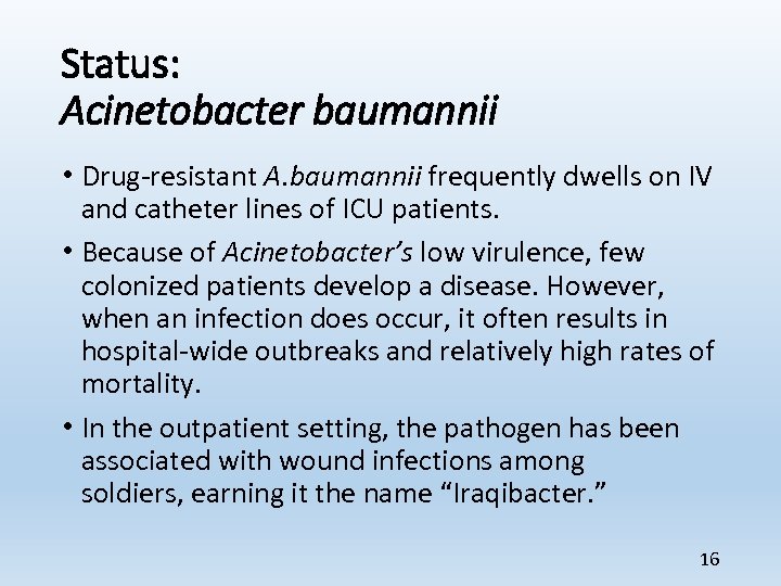 Status: Acinetobacter baumannii • Drug-resistant A. baumannii frequently dwells on IV and catheter lines