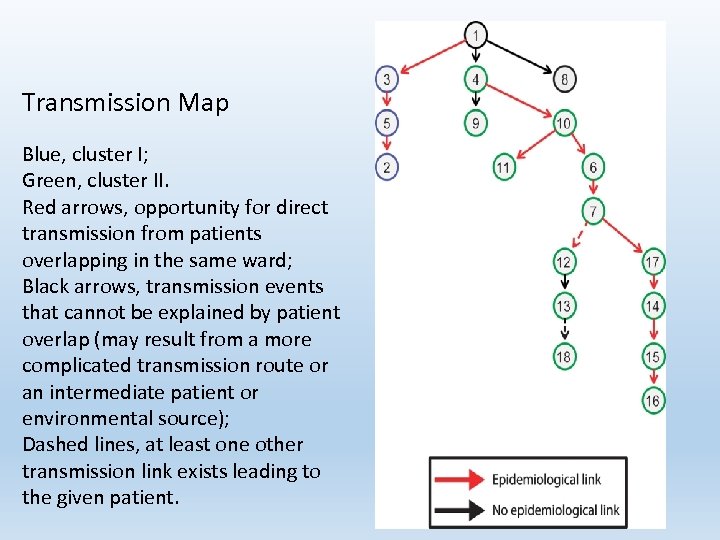 Transmission Map Blue, cluster I; Green, cluster II. Red arrows, opportunity for direct transmission