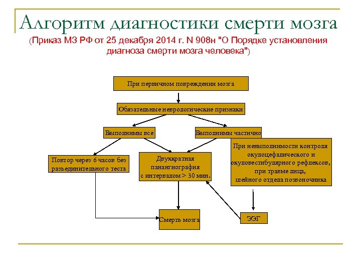 Алгоритм диагностики смерти мозга (Приказ МЗ РФ от 25 декабря 2014 г. N 908