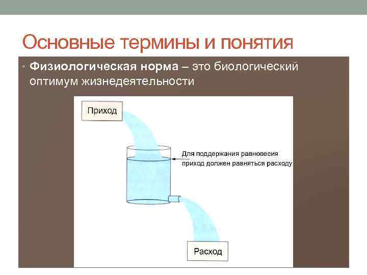 Основные термины и понятия • Физиологическая норма – это биологический Физиологическая норма оптимум жизнедеятельности