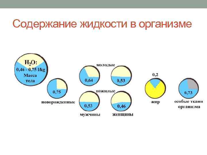 Содержание жидкости в организме 