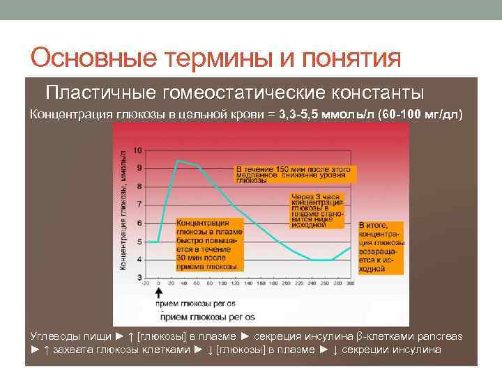 Основные термины и понятия Пластичные гомеостатические константы Концентрация глюкозы в цельной крови = 3,