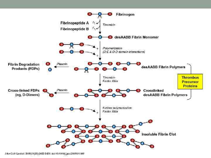 J Am Coll Cardiol. 2008; 51(25): 2422 -2429. doi: 10. 1016/j. jacc. 2008. 01.