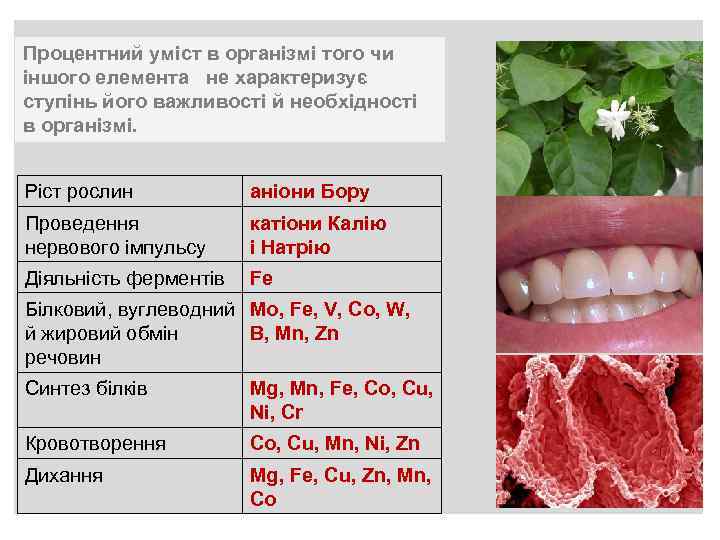 Процентний уміст в організмі того чи іншого елемента не характеризує ступінь його важливості й