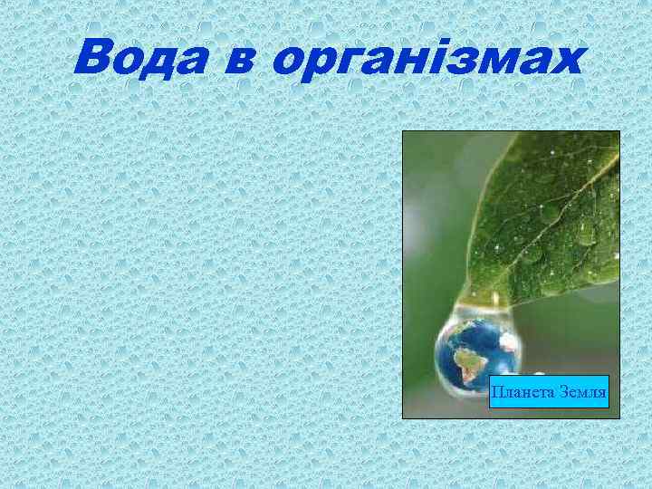 Вода в організмах Планета Земля 