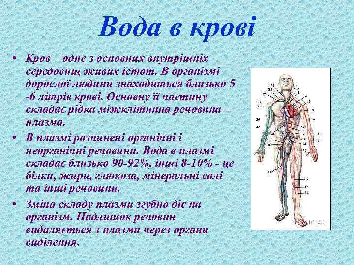 Вода в крові • Кров – одне з основних внутрішніх середовищ живих істот. В
