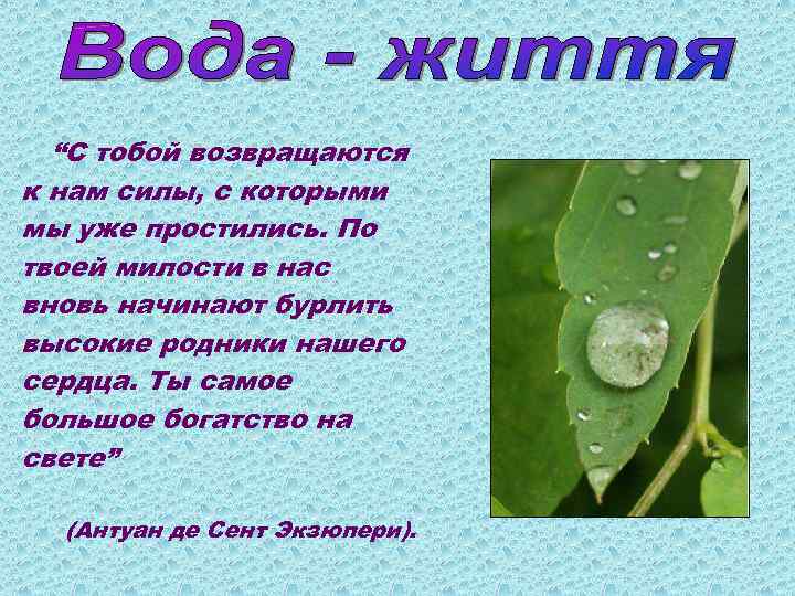 “С тобой возвращаются к нам силы, с которыми мы уже простились. По твоей милости