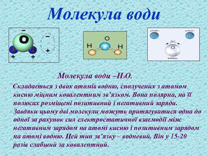 Молекула води Молекула води –Н 2 О. Складається з двох атомів водню, сполучених з