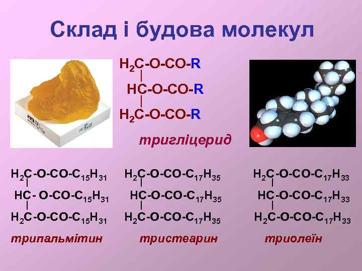 Склад і будова молекул H 2 С-О-СО-R HC-O-CO-R H 2 C-O-CO-R тригліцерид Н 2