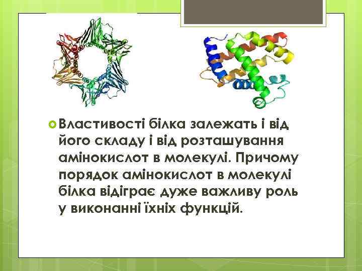  Властивості білка залежать і від його складу і від розташування амінокислот в молекулі.