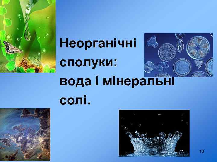 Неорганічні сполуки: вода і мінеральні солі. 13 