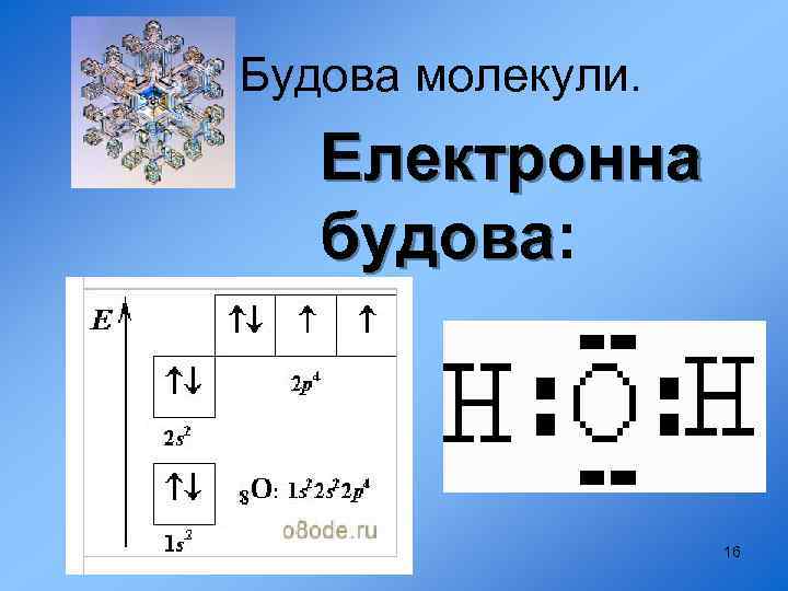  Будова молекули. Електронна будова: будова 16 