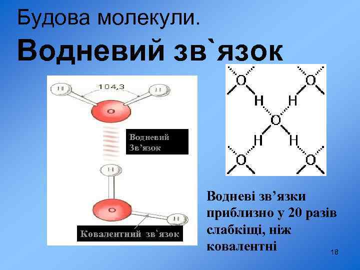 Будова молекули. Водневий зв`язок Водневий Зв’язок Ковалентний зв`язок Водневі зв’язки приблизно у 20 разів