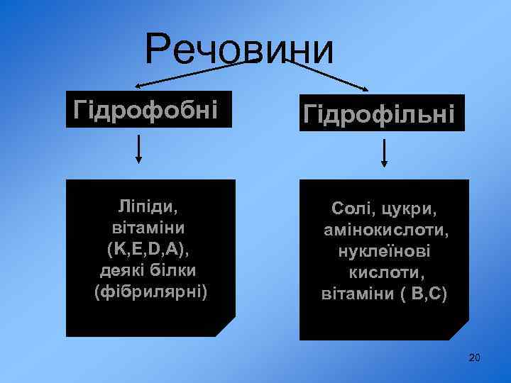 Речовини Гідрофобні Ліпіди, вітаміни (K, E, D, A), деякі білки (фібрилярні) Гідрофільні Солі, цукри,