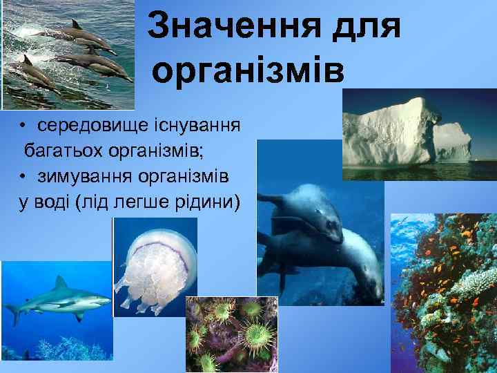 Значення для організмів • середовище існування багатьох організмів; • зимування організмів у воді (лід