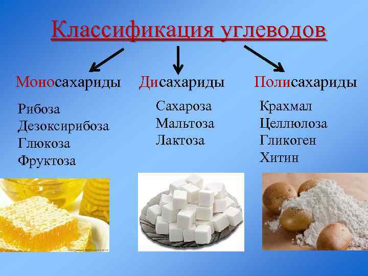 К моносахаридам относятся крахмал глюкоза целлюлоза