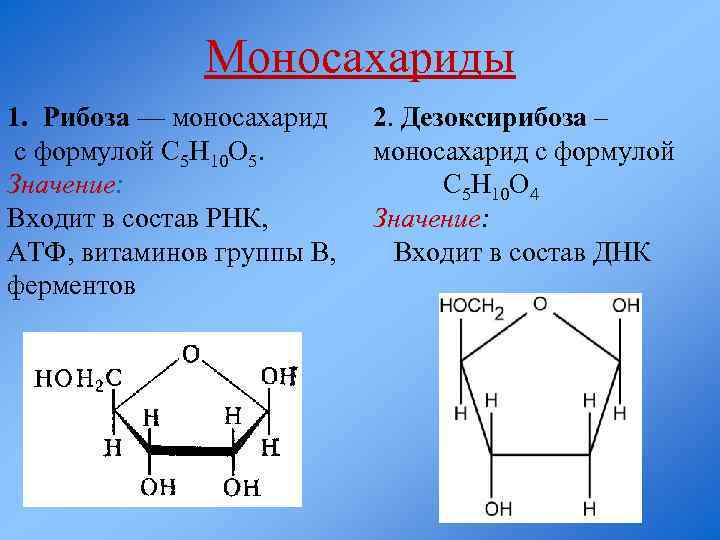 Состав днк рибоза