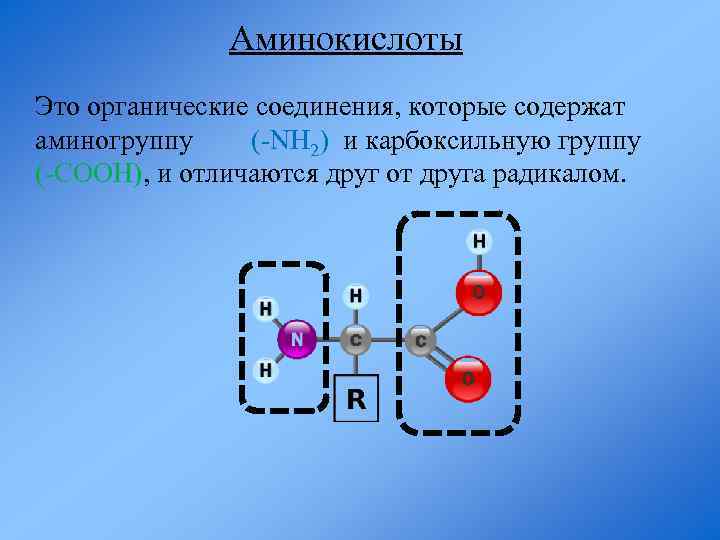 Аминокислоты Это органические соединения, которые содержат аминогруппу (-NH 2) и карбоксильную группу (-COOH), и