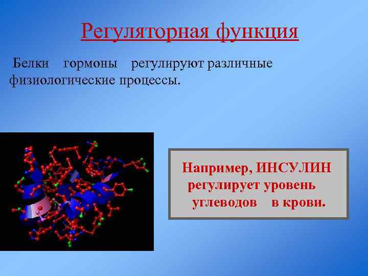 Регуляторная функция Белки гормоны регулируют различные физиологические процессы. Например, ИНСУЛИН регулирует уровень углеводов в