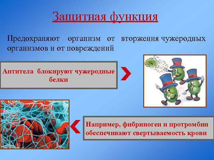 Чужеродный организм. Защитные функции организма. Функции белки молекулярный уровень. Внешние защитные функции организма. Формирование защитной функции организма.