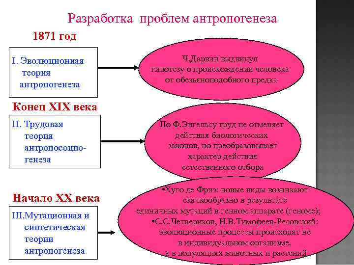 Разработка проблем антропогенеза 1871 год I. Эволюционная теория антропогенеза Ч. Дарвин выдвинул гипотезу о