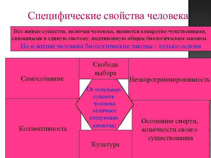 Специфические свойства человека Все живые существа, включая человека, являются конкретно-чувственными, связанными в единую систему,