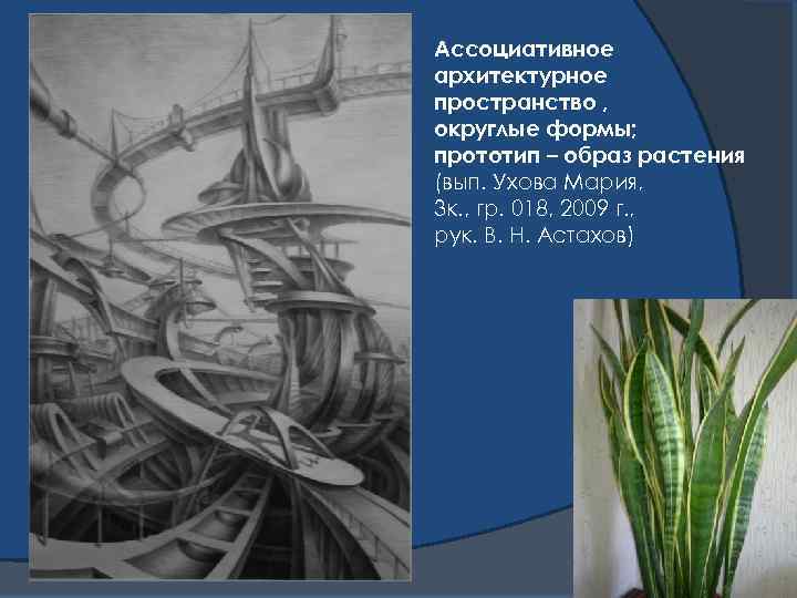 Ассоциативное архитектурное пространство , округлые формы; прототип – образ растения (вып. Ухова Мария, 3