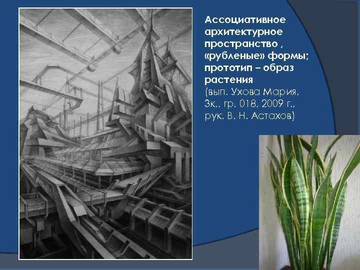 Ассоциативное архитектурное пространство , «рубленые» формы; прототип – образ растения (вып. Ухова Мария, 3