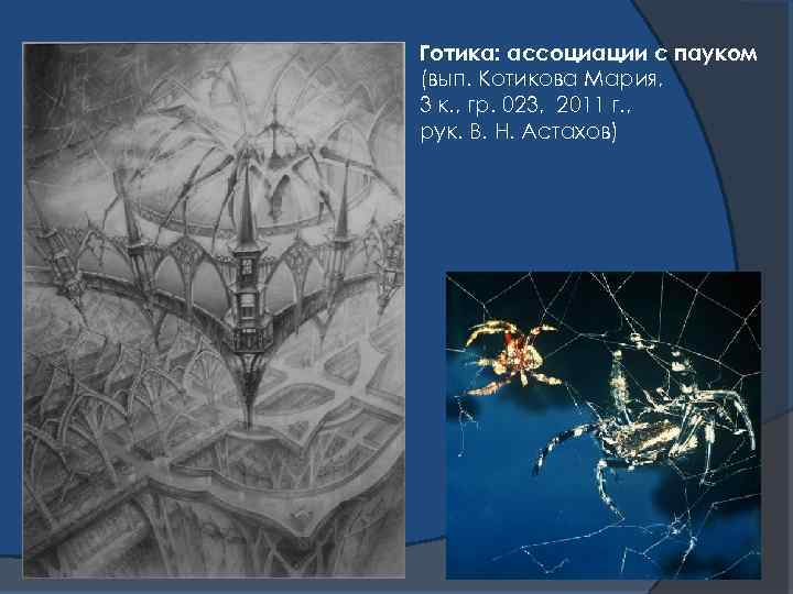 Готика: ассоциации с пауком (вып. Котикова Мария, 3 к. , гр. 023, 2011 г.
