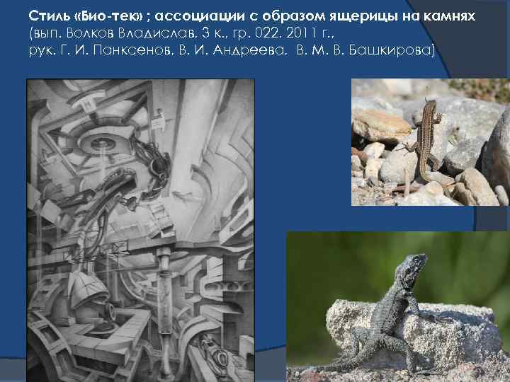 Стиль «Био-тек» ; ассоциации с образом ящерицы на камнях (вып. Волков Владислав, 3 к.